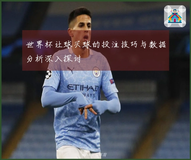 世界杯让球买球的投注技巧与数据分析深入探讨