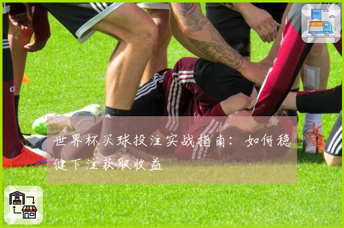 世界杯买球投注实战指南：如何稳健下注获取收益