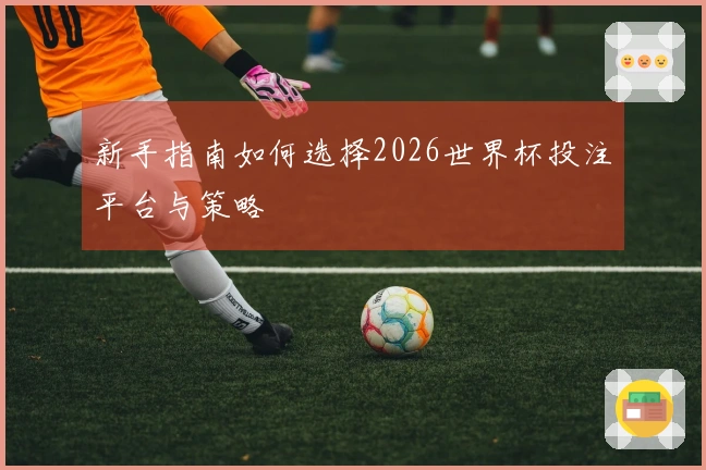 新手指南如何选择2026世界杯投注平台与策略