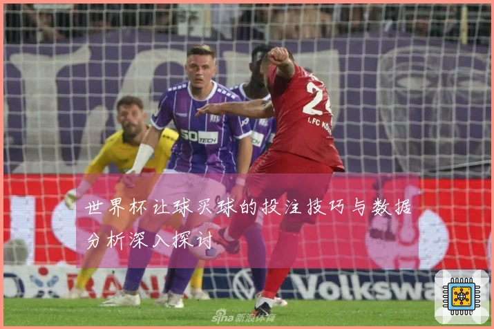 世界杯让球买球的投注技巧与数据分析深入探讨